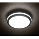 Luminaria LED de exterior BENO LED/24W/230V 4000K antracita IP54