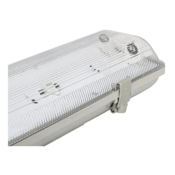 Aigostar - Lámpara fluorescente técnica T8 2xG13/20W/230V IP65