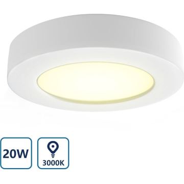 Aigostar - Plafón LED LED/20W/230V diá. 24,7 cm 3000K blanco