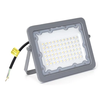 Aigostar - Proyector LED LED/50W/230V gris 4000K IP65