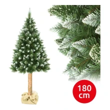 Árbol de Navidad en un tronco de 180 cm pino