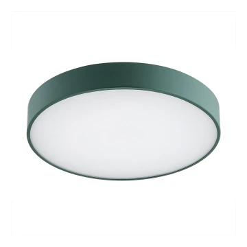 Argon 8335 - Plafón LED TIAMO LED/22W/230V 4000K Verde