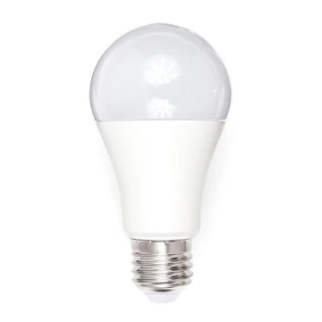 Bombilla LED A80 E27/18W/230V 3000K