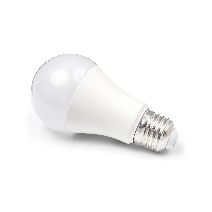 Bombilla LED A80 E27/18W/230V 3000K