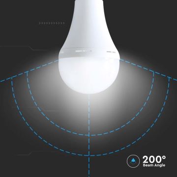 Bombilla LED con modo de emergencia A80 E27/12W/230V 4000K