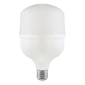 Bombilla LED T100 E27/30W/230V 6500K