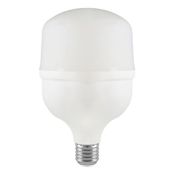 Bombilla LED T100 E27/30W/230V 6500K