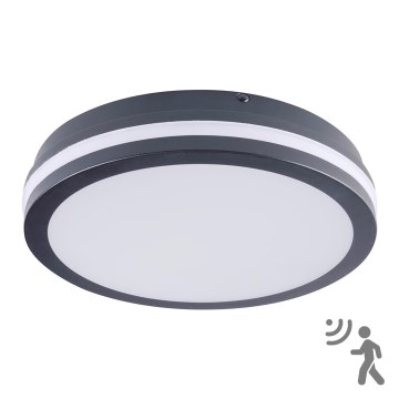 Brilagi - Lámpara de exterior LED con sensor BENE LED/24W/230V diá. 26 cm antracita IP54