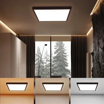 Brilagi - Plafón LED de baño FRAME LED/50W/230V 3000/4000/6000K IP44 negro