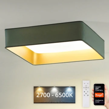 Brilagi - Plafón LED regulable VELVET SQUARE SMART LED/36W/230V 2700-6500K Wi-Fi Tuya + mando a distancia menta