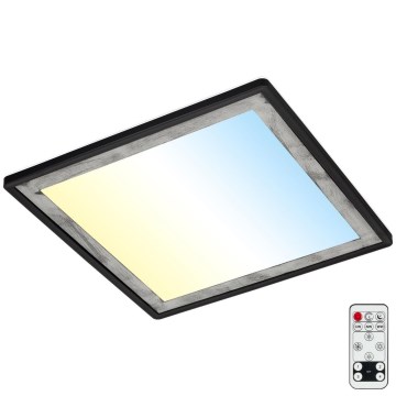 Briloner 7459-414 - Plafón LED regulable SLIM LED/22W/230V 2700-6500K + control remoto