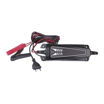 Cargador de baterías 4A/230V IP65