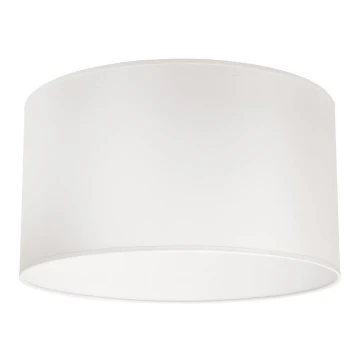 Duolla - Lámpara de techo DORSET 1xE27/40W/230V blanco