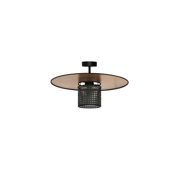 Duolla - Lámpara de techo TOKYO RATTAN 1xE27/15W/230V dorado/negro