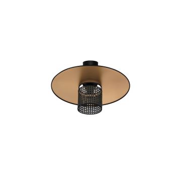 Duolla - Lámpara de techo TOKYO RATTAN 1xE27/15W/230V dorado/negro