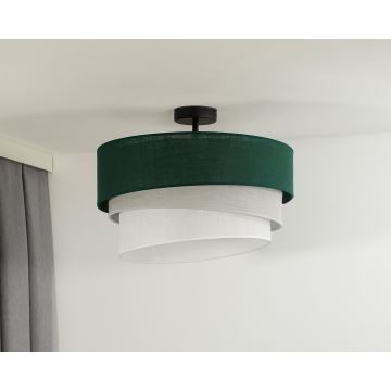 Duolla - Lámpara de techo TRIO 1xE27/15W/230V verde/gris/blanco