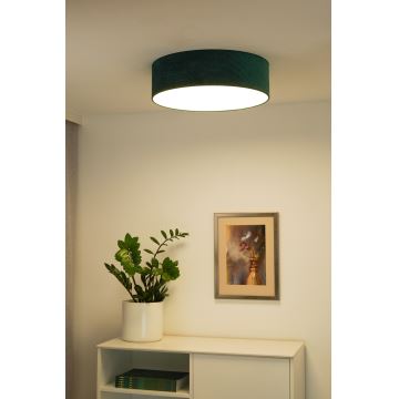 Duolla - Plafón LED CORTINA LED/26W/230V diá. 30 cm verde