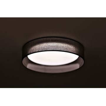 Duolla - Plafón LED ROLLER LED/24W/230V antracita