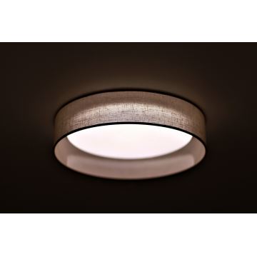 Duolla - Plafón LED ROLLER LED/24W/230V gris claro