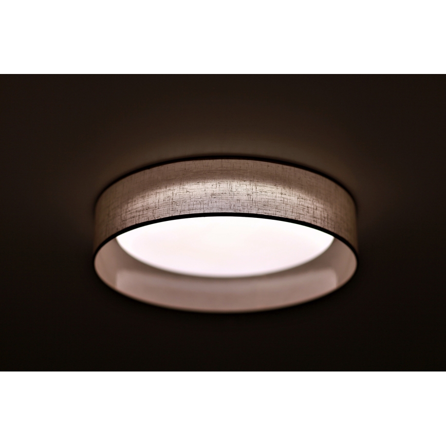 Duolla - Plafón LED ROLLER LED/24W/230V gris claro