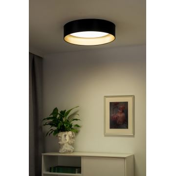 Duolla - Plafón LED ROLLER LED/24W/230V negro/dorado