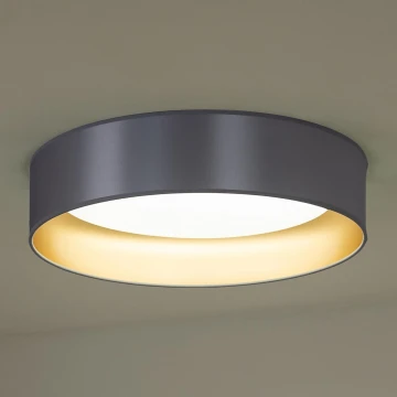 Duolla - Plafón LED ROLLER LED/24W/230V plata/dorado