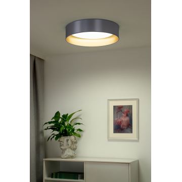 Duolla - Plafón LED ROLLER LED/24W/230V plata/dorado