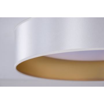 Duolla - Plafón LED ROLLER LED/24W/230V plata/dorado