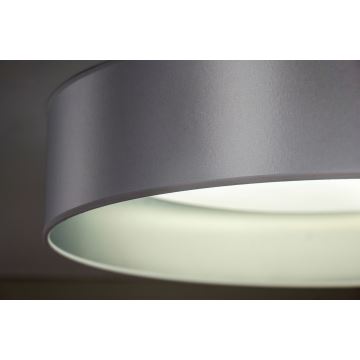 Duolla - Plafón LED ROLLER LED/24W/230V plata