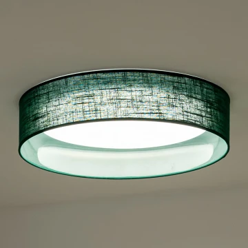 Duolla - Plafón LED ROLLER LED/24W/230V Verde