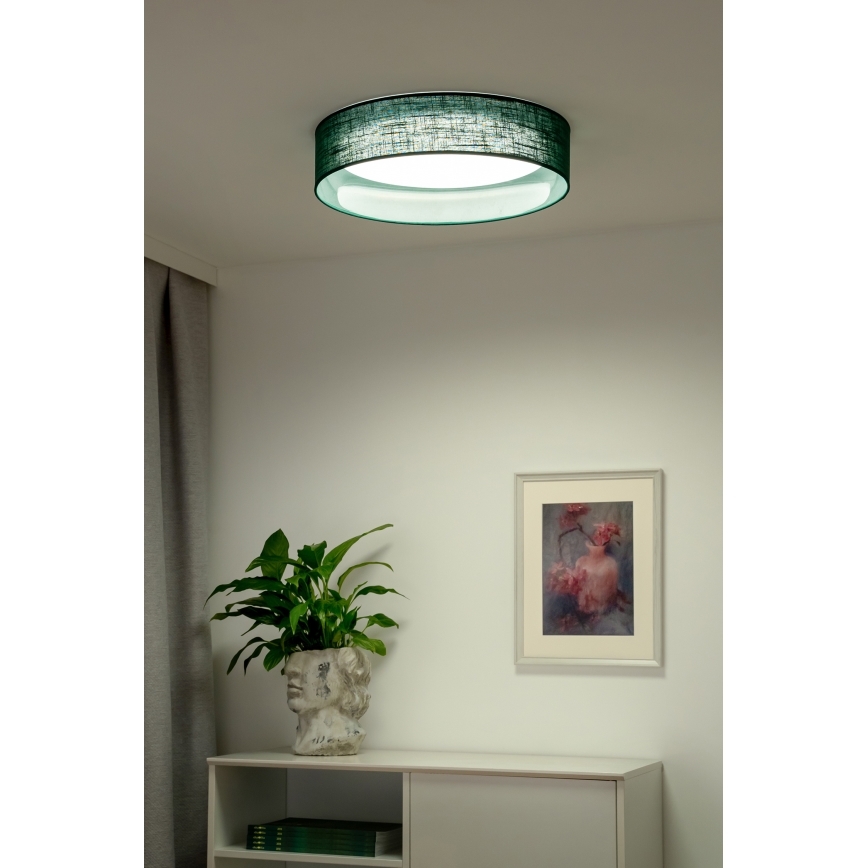 Duolla - Plafón LED ROLLER LED/24W/230V Verde