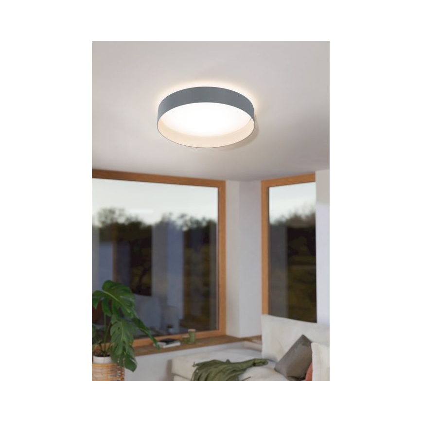 Eglo - Plafón LED regulable 1xLED/18W/230V