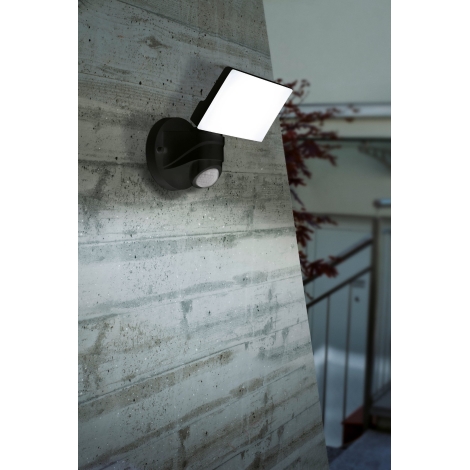 Eglo - Lámpara de exterior LED con sensor LED/15W/230V IP44