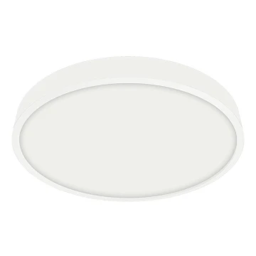 Emithor 49035 - Plafón de baño LED LENYS LED/12W/230V IP44