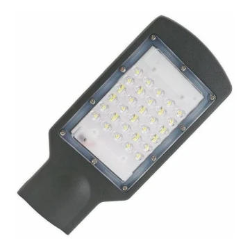 Farola LED LED/30W/170-400V IP67