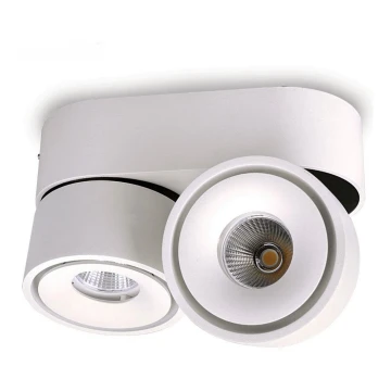 Foco LED regulable LAHTI MINI 2xLED/9W/230V 3000K CRI 90 blanco