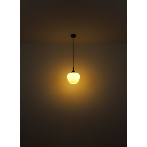 Globo - Lámpara colgante 1xE27/60W/230V blanco/marrón