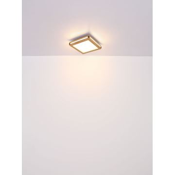 Globo - Plafón LED LED/24W/230V 45x45 cm