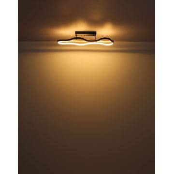 Globo - Lámpara de techo LED LED/30W/230V