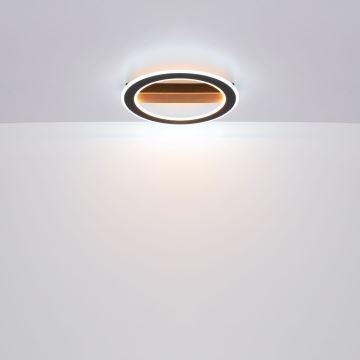 Globo - Lámpara de techo LED LED/30W/230V redonda