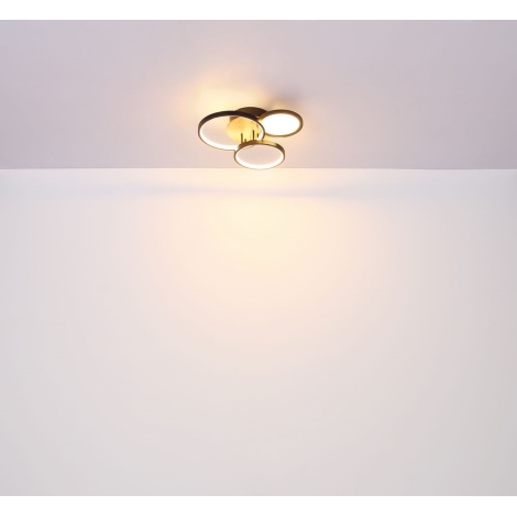 Globo - Lámpara de techo LED LED/30W/230V