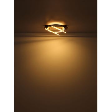 Globo - Plafón LED LED/32W/230V