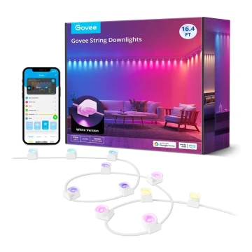 Govee - Cadena de luces LED RGBIC 5m Wi-Fi