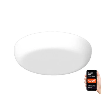 Immax NEO 07109K - Plafón de baño LED regulable PRACTICO LED/24W/230V IP44 Tuya