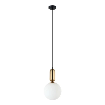 ITALUX - Lámpara colgante ALDEVA 1xE27/40W/230V diá. 20 cm negro/bronce