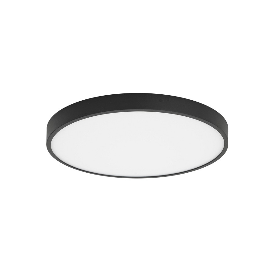 ITALUX - Plafón LED RIBERIO LED/30W/230V 4000K negro