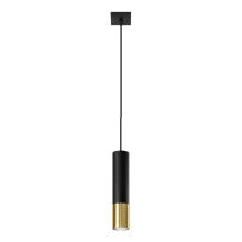 Lámpara de araña de cable LOOPEZ 1xGU10/40W/230V negro/dorado