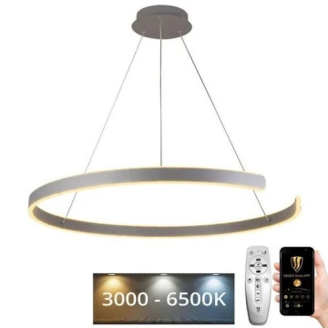 Lámpara de araña LED regulable por cable LED/100W/230V 3000-6500K + mando a distancia