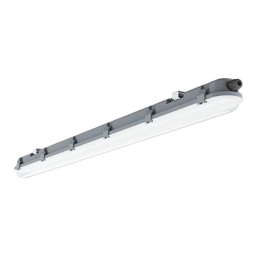 Lámpara fluorescente técnica LED SERIE M LED/36W/230V 6400K 120cm IP65