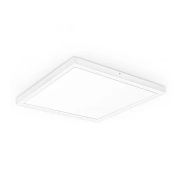 LED Panel empotrable XELENT LED/50W/230V 4000K IP40